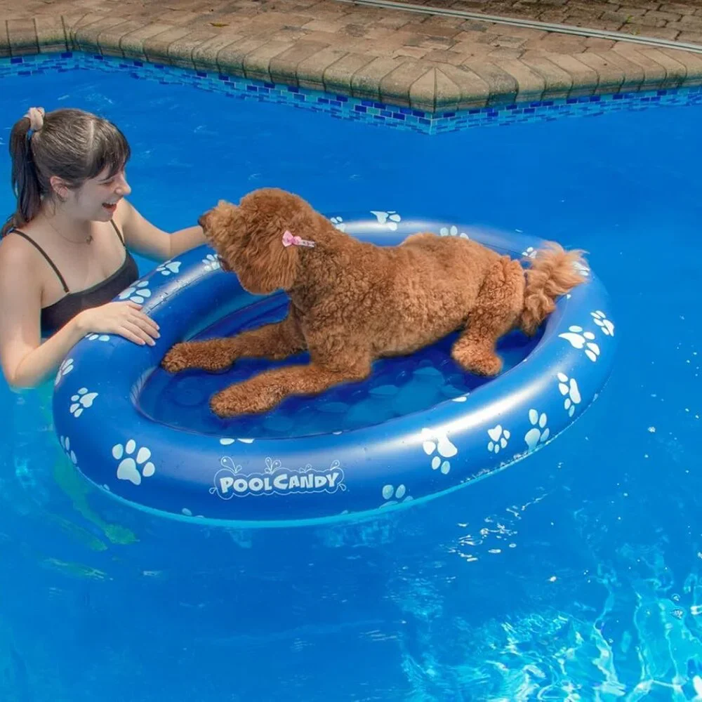 NEW PoolCandy Inflatable Pet Float - Picture 1 of 6